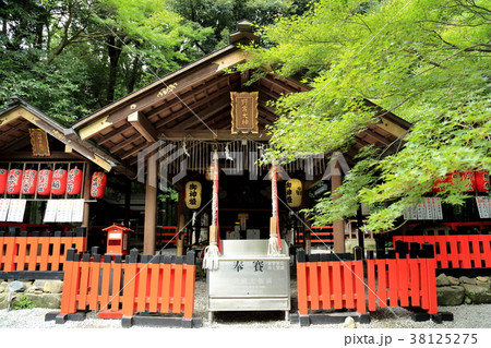 野宮神社 野宮神社 38125275