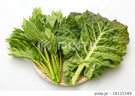 明日葉、ケール 38125589