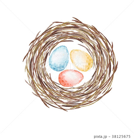 Birds nest with eggs. Watercolor illustration 38125675