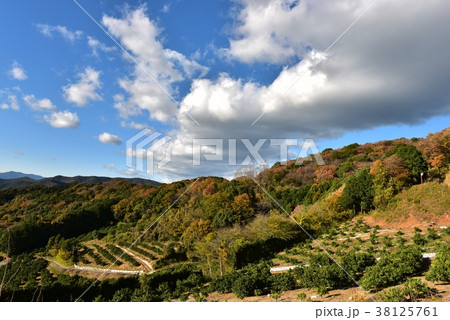 山 空 雲 初冬 山 空 雲 初冬 38125761