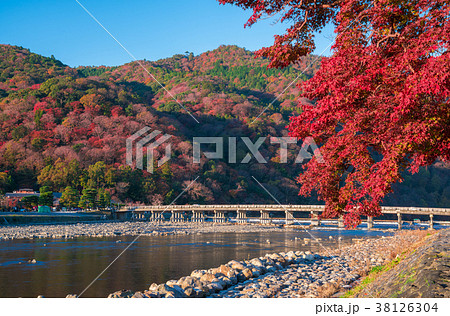 京都 嵐山の紅葉 渡月橋 京都 嵐山の紅葉 渡月橋 38126304