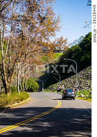 台湾 桃畑 モモ畑 38126449