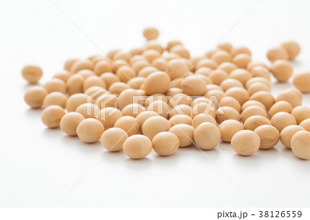 大豆 38126559