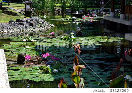 バリのホテル 38127090