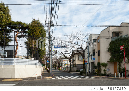 東京世田谷散歩、用賀中町通り神学院下交差点 東京世田谷散歩、用賀中町通り神学院下交差点 38127850