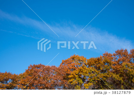 里山の紅葉と秋風景 里山の紅葉と秋風景 38127879