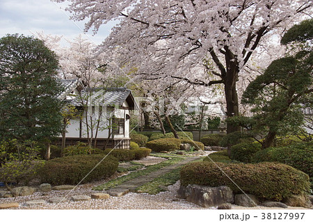 川越城　本丸御殿 38127997