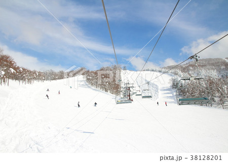 スキージャム勝山_快晴 38128201