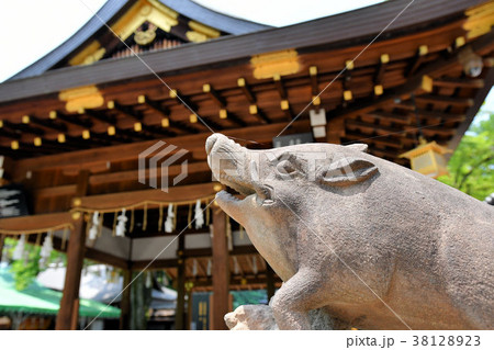 護王神社 護王神社 38128923