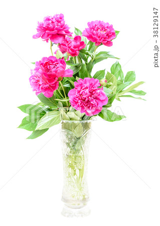 Bouquet of peonies on white 38129147