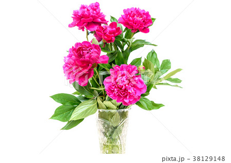 Bouquet of peonies on white 38129148