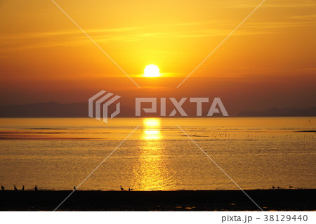 赤穂市千種川河口付近 赤穂市千種川河口付近 38129440