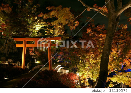 勝尾寺 ライトアップ 勝尾寺 ライトアップ 38130575