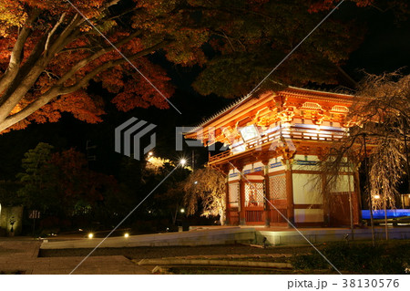 勝尾寺　ライトアップ 38130576