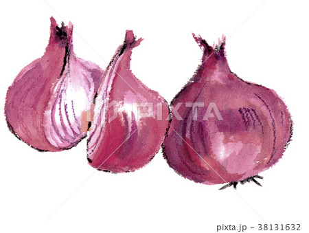 紫タマネギ 赤タマネギ 紫タマネギ 赤タマネギ 38131632