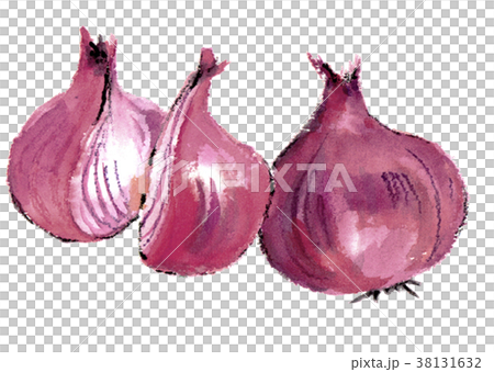 紫洋蔥紅洋蔥 紫洋蔥紅洋蔥 38131632