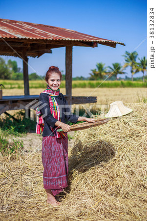 farmer woman threshed rice in field 38132834