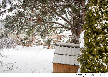 Snow covered backyard. 38133153