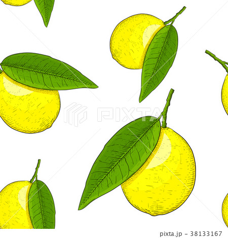 Lemon. Hand drawn colored sketch as seamless 38133167