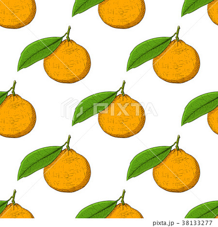 Mandarin orange. Hand drawn colored sketch as 38133277