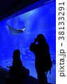 水族館の水槽とシルエット 38133291