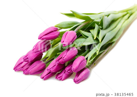 Bouquet of violet tulips 38135465