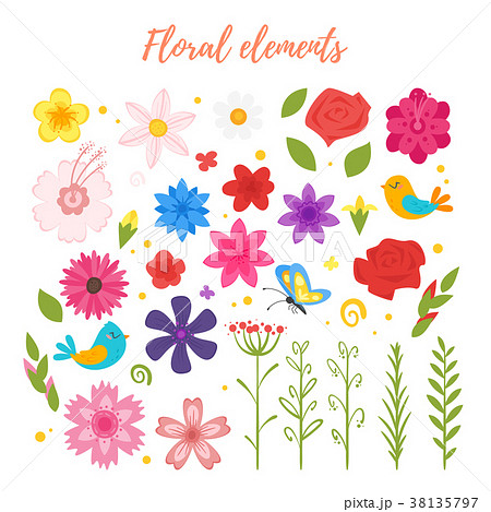 floral elements for your design. 38135797