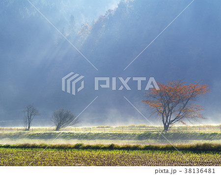 晩秋の農村 晩秋の農村 38136481