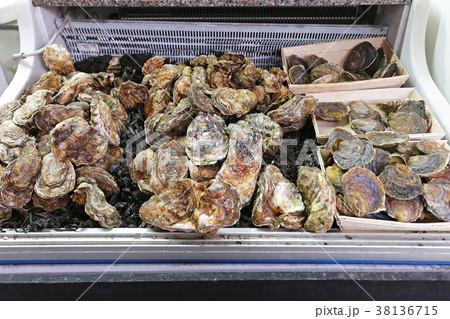 Oysters 38136715