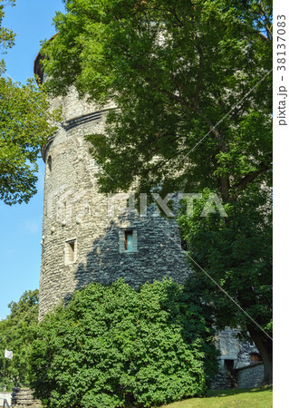 Towers of old Tallinn. 38137083