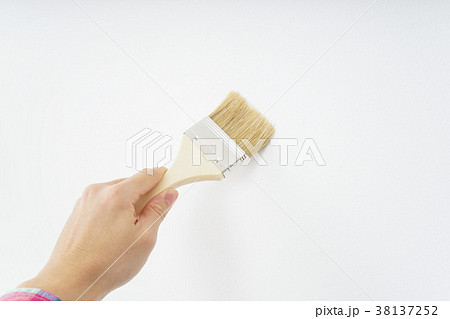 ペンキ塗り・DIY ペンキ塗り・DIY 38137252