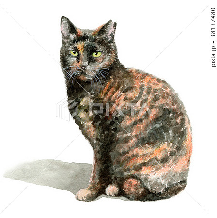 水彩で描いたサビ柄の猫のイラスト素材