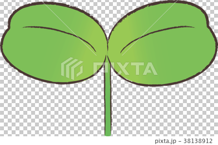 蓋子葉子 38138912