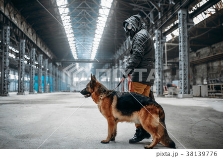 Stalker in gas mask and dog in abandoned building 38139776
