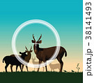 Will you shoot or watch wildlife? 38141493