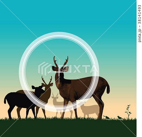 Will you shoot or watch wildlife? 38141493