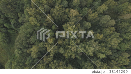 Aerial shot fly over wild park or forest in cloudy Aerial shot fly over wild park or forest in cloudy 38145299