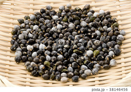 数珠玉 数珠玉 38146456