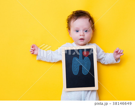 little baby with X-ray board and drawing lungs and heart little baby with X-ray board and drawing lungs and heart 38146649