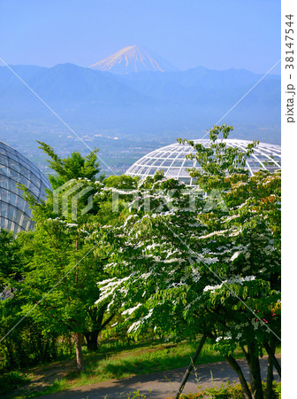 笛吹川フルーツ公園と富士山-777546 笛吹川フルーツ公園と富士山-777546 38147544