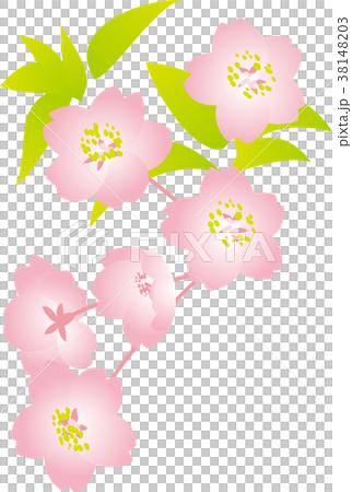 Cherry blossom pink blur Cherry blossom pink blur 38148203