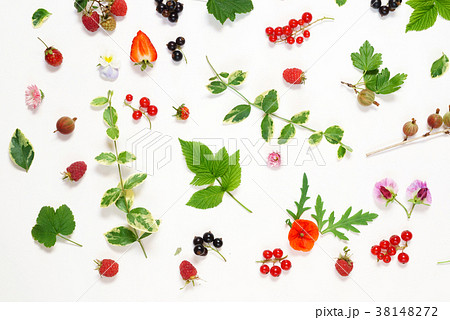 summer concept 38148272