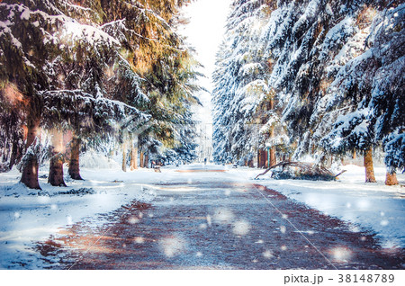 winter park on a sunny day winter park on a sunny day 38148789