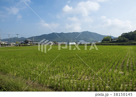 加東市の風景　（兵庫県加東市） 38150145