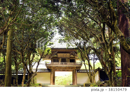 瀧谷寺 瀧谷寺 38150479