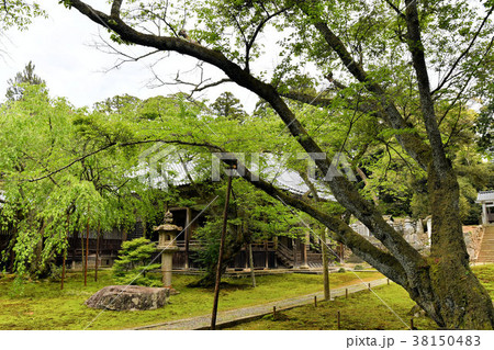 瀧谷寺 瀧谷寺 38150483
