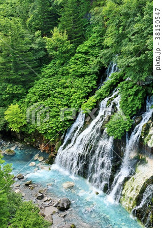 北海道 しらひげの滝 北海道 しらひげの滝 38150547