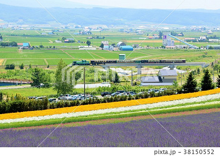 北海道　富良野のラベンダーとノロッコ列車 38150552
