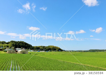 初夏の青空と広大な田園地帯 初夏の青空と広大な田園地帯 38150594