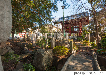 東京世田谷散歩、世田谷区野毛二丁目、善養寺境内風景 東京世田谷散歩、世田谷区野毛二丁目、善養寺境内風景 38151043